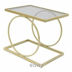 Golden Metal Sofa Side Table / Tinted Glass Top / Bedside Plant Coffee Table